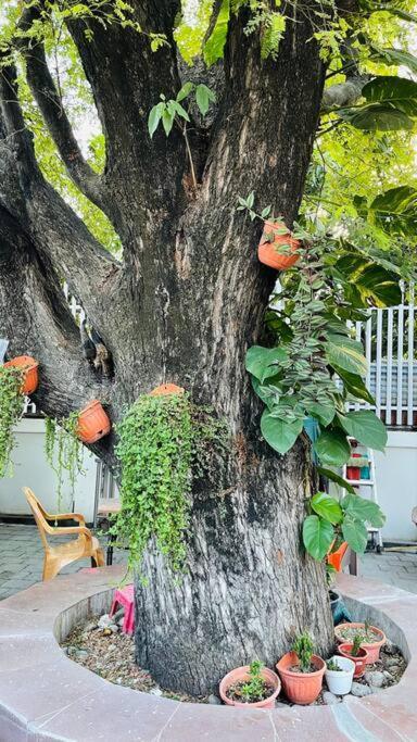 A Luxury Duplex In Dili City, Timor-Leste 외부 사진